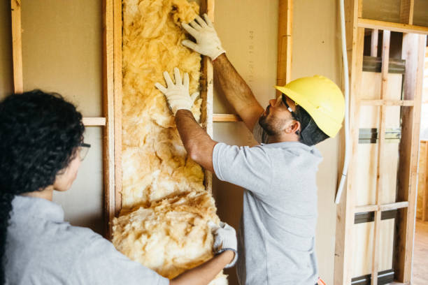 Best Cellulose Insulation  in Mitchellville, IA